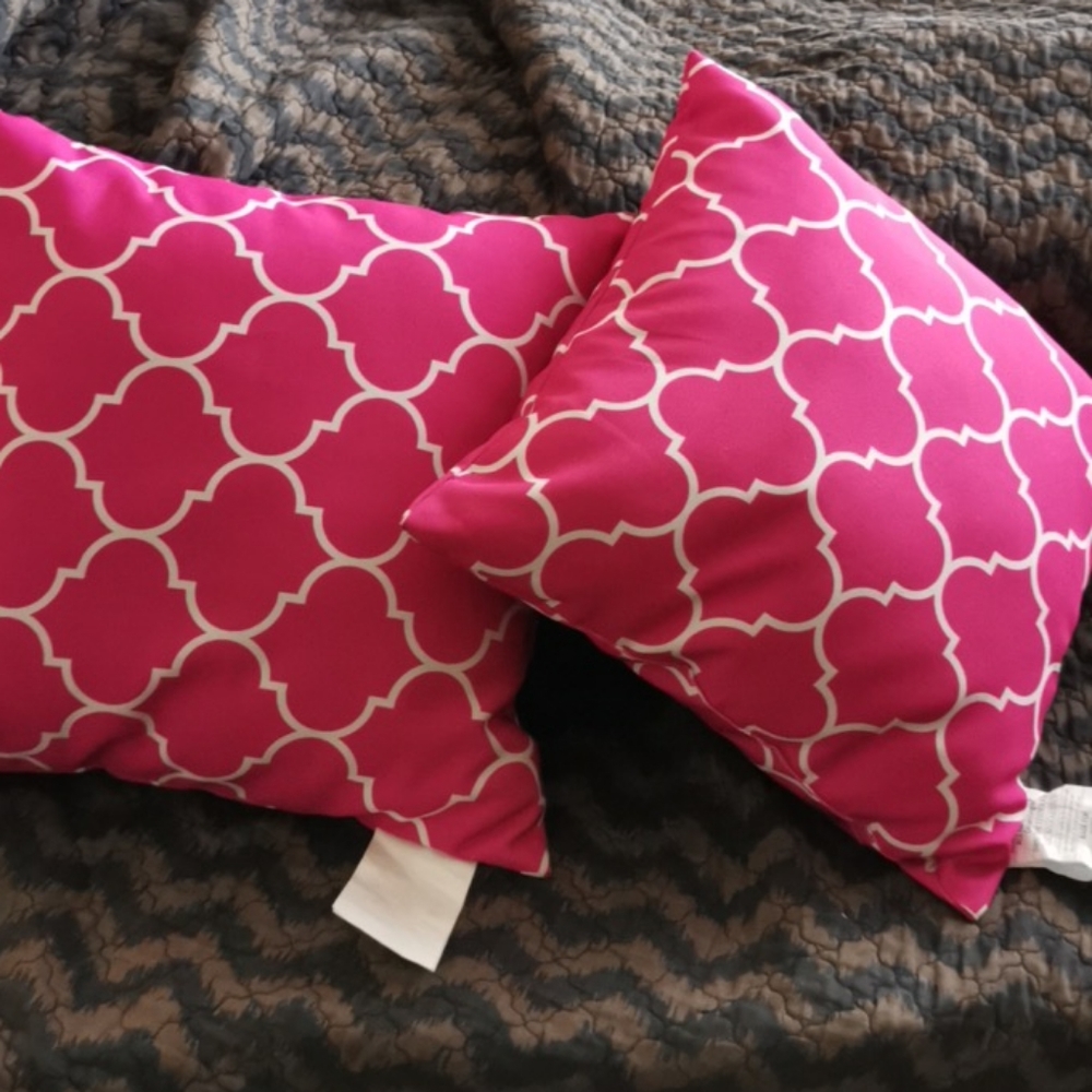 NWT 2 18"x18" Outdoor Pillows 😎⛱️